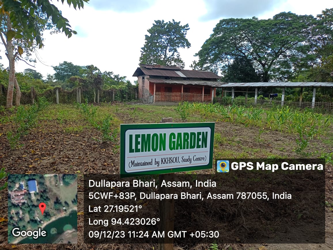 Lemon Garden